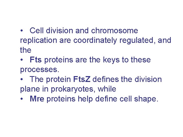  • Cell division and chromosome replication are coordinately regulated, and the • Fts