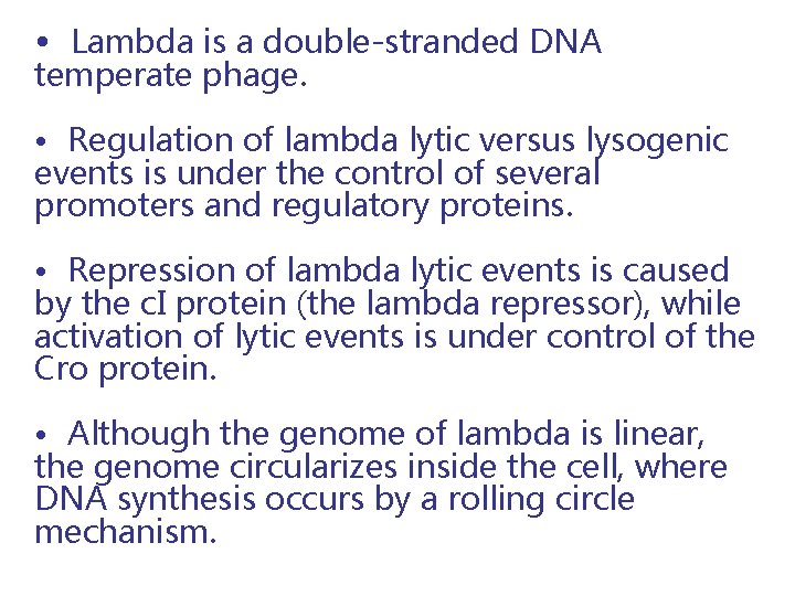  • Lambda is a double-stranded DNA temperate phage. • Regulation of lambda lytic