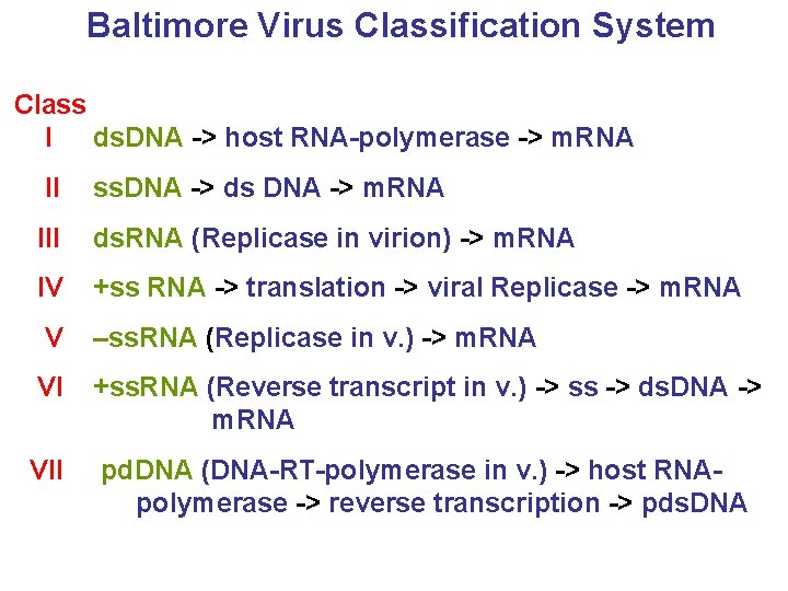 Baltimore Virus Classification System Class I ds. DNA -> host RNA-polymerase -> m. RNA