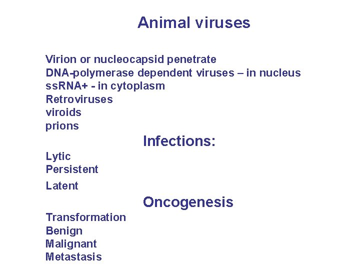 Animal viruses Virion or nucleocapsid penetrate DNA-polymerase dependent viruses – in nucleus ss. RNA+