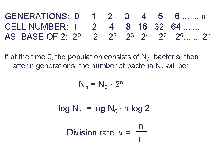 GENERATIONS: 0 CELL NUMBER: 1 AS BASE OF 2: 20 1 2 3 4