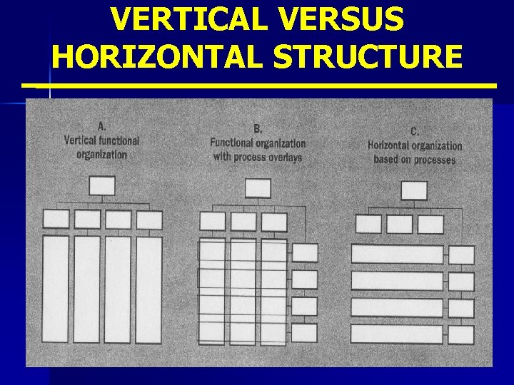 VERTICAL VERSUS HORIZONTAL STRUCTURE 