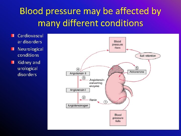 Blood pressure may be affected by many different conditions Cardiovascul ar disorders Neurological conditions