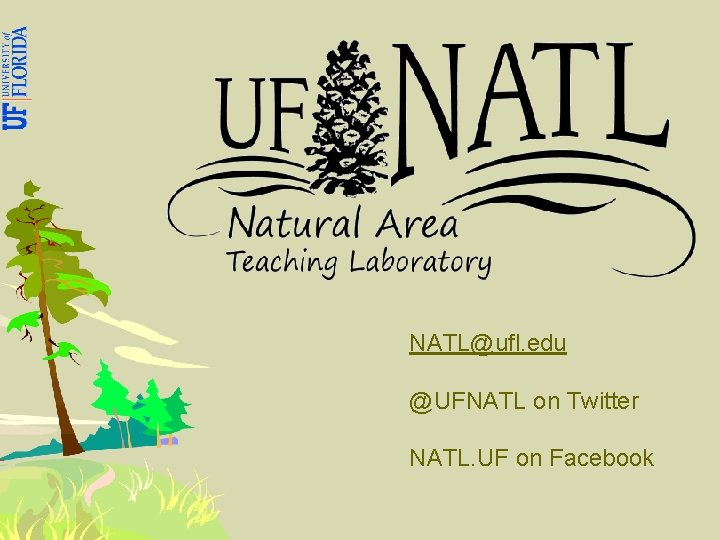NATL@ufl. edu @UFNATL on Twitter NATL. UF on Facebook 