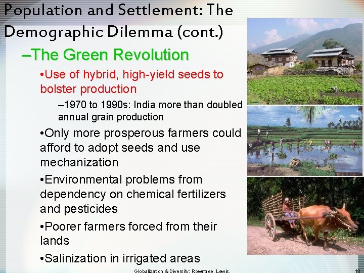 Population and Settlement: The Demographic Dilemma (cont. ) –The Green Revolution • Use of