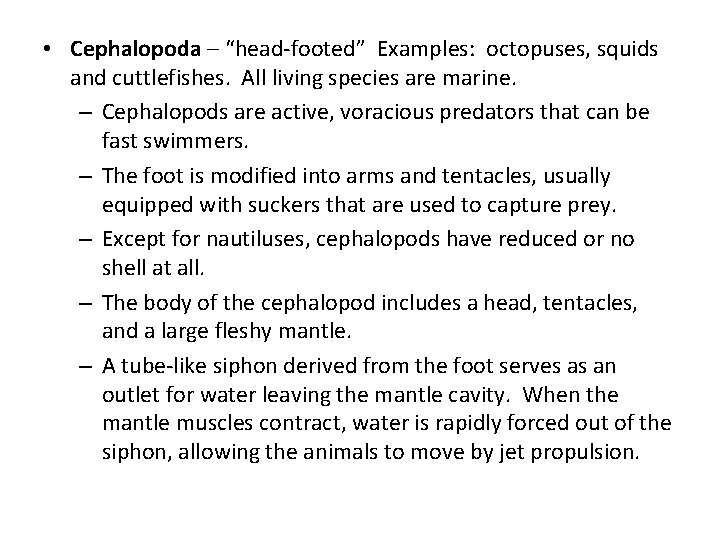  • Cephalopoda – “head-footed” Examples: octopuses, squids and cuttlefishes. All living species are