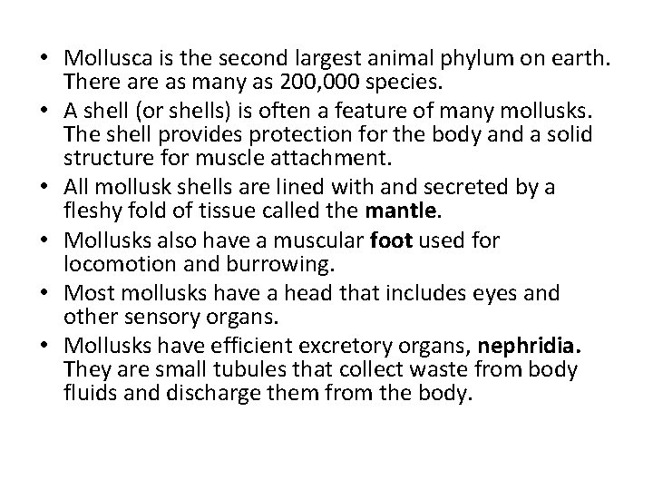  • Mollusca is the second largest animal phylum on earth. There as many