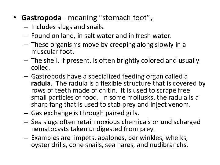  • Gastropoda- meaning “stomach foot”, – Includes slugs and snails. – Found on