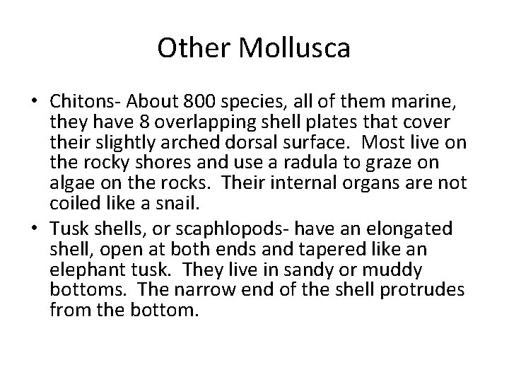 Other Mollusca • Chitons- About 800 species, all of them marine, they have 8