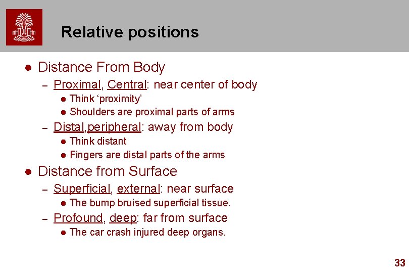 Relative positions l Distance From Body – Proximal, Central: near center of body l
