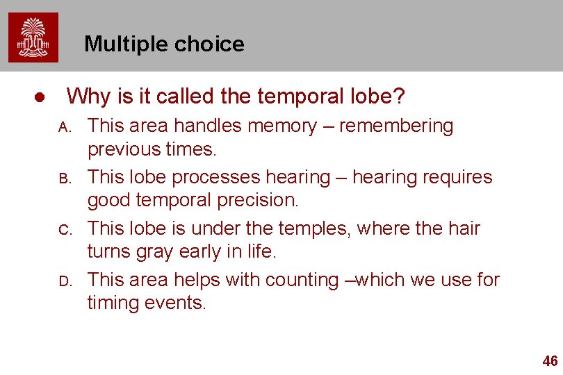 Multiple choice l Why is it called the temporal lobe? A. B. C. D.