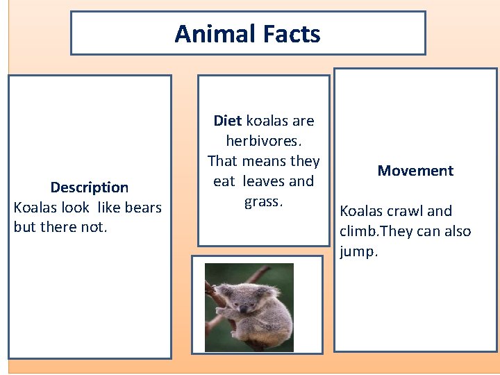 Animal Facts Description Koalas look like bears but there not. Diet koalas are herbivores.