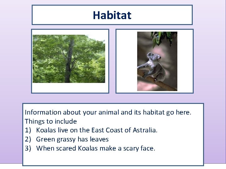 Habitat Map showing where your animal lives Picture showing your animal in its habitat.