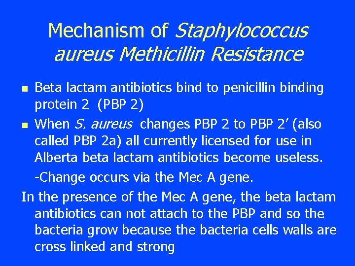 Mechanism of Staphylococcus aureus Methicillin Resistance Beta lactam antibiotics bind to penicillin binding protein