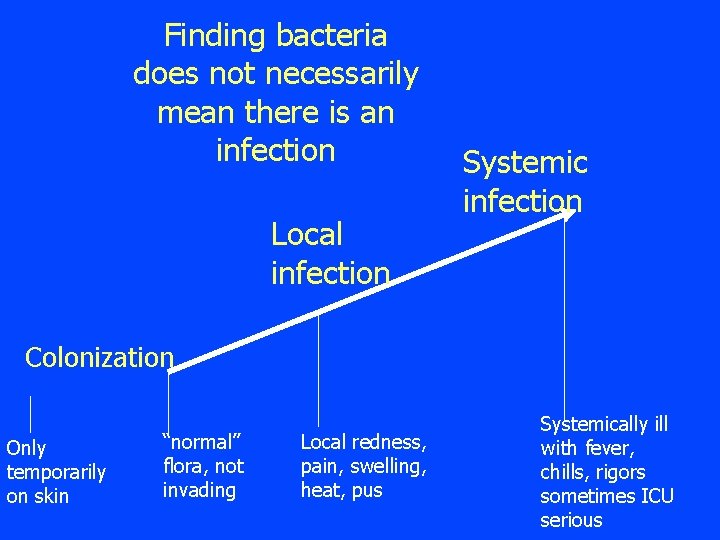 Finding bacteria does not necessarily mean there is an infection Local infection Systemic infection