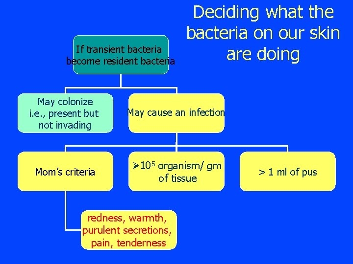 If transient bacteria become resident bacteria Deciding what the bacteria on our skin are