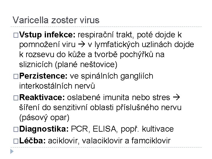 Varicella zoster virus �Vstup infekce: respirační trakt, poté dojde k pomnožení viru v lymfatických