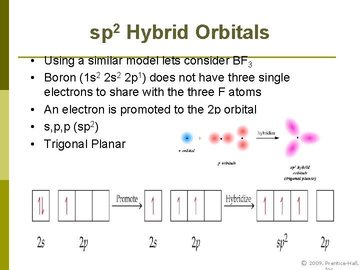 sp 2 Hybrid Orbitals • Using a similar model lets consider BF 3 •