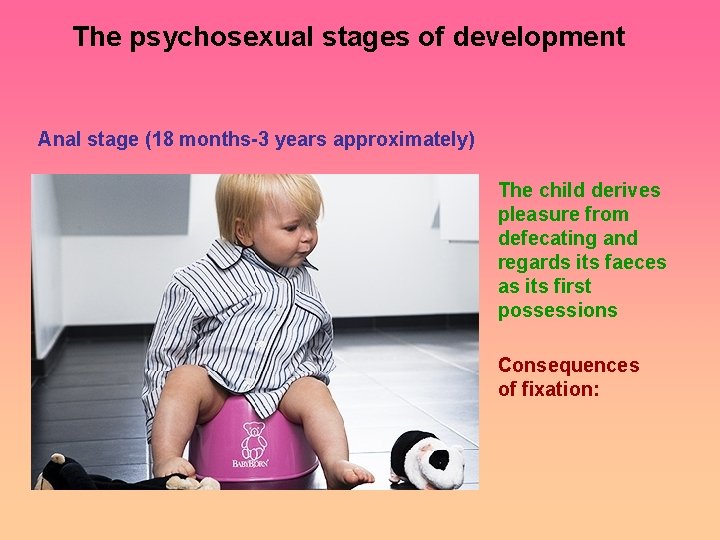 The psychosexual stages of development Anal stage (18 months-3 years approximately) The child derives