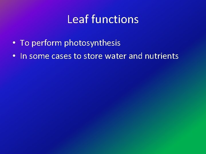 Leaf functions • To perform photosynthesis • In some cases to store water and