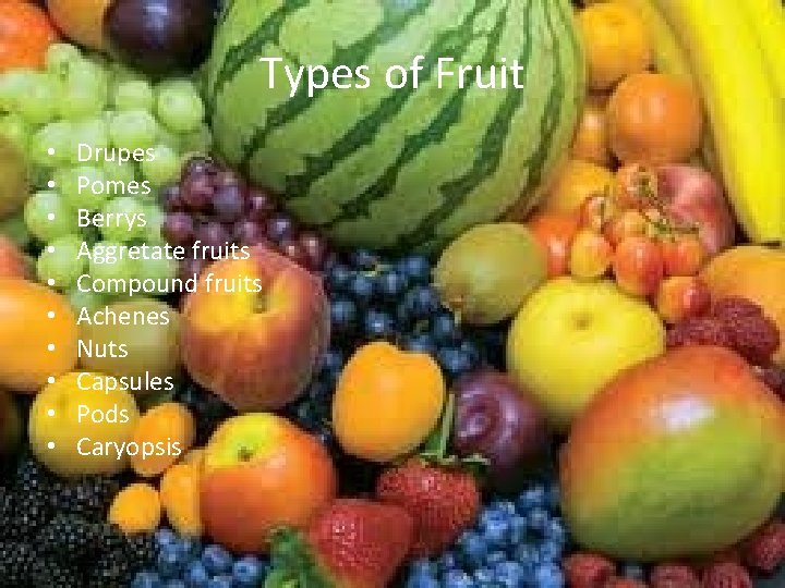 Types of Fruit • • • Drupes Pomes Berrys Aggretate fruits Compound fruits Achenes