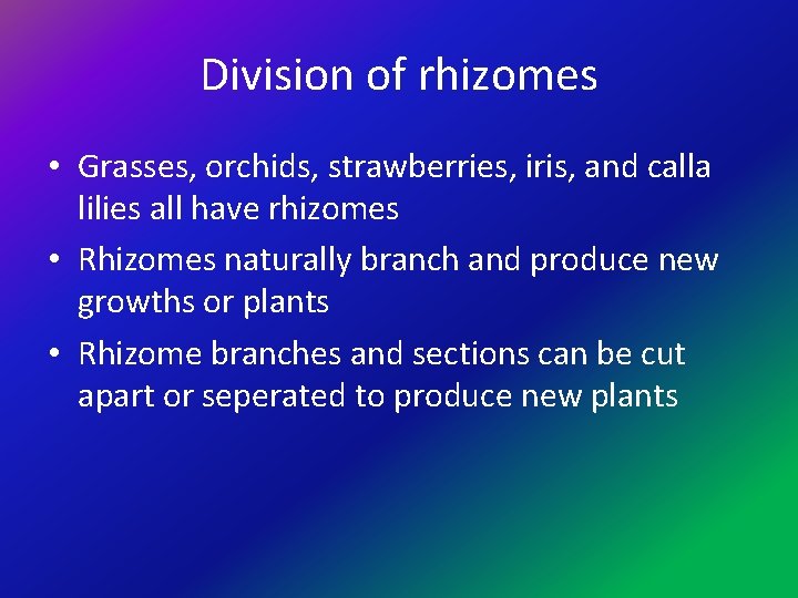 Division of rhizomes • Grasses, orchids, strawberries, iris, and calla lilies all have rhizomes