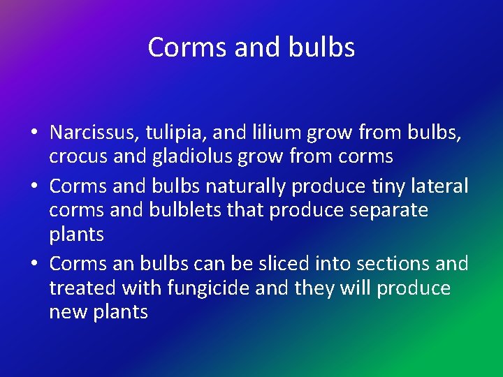 Corms and bulbs • Narcissus, tulipia, and lilium grow from bulbs, crocus and gladiolus