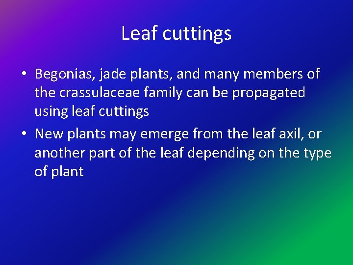 Leaf cuttings • Begonias, jade plants, and many members of the crassulaceae family can