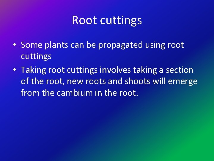 Root cuttings • Some plants can be propagated using root cuttings • Taking root