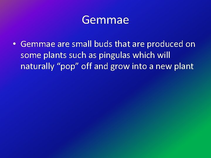 Gemmae • Gemmae are small buds that are produced on some plants such as
