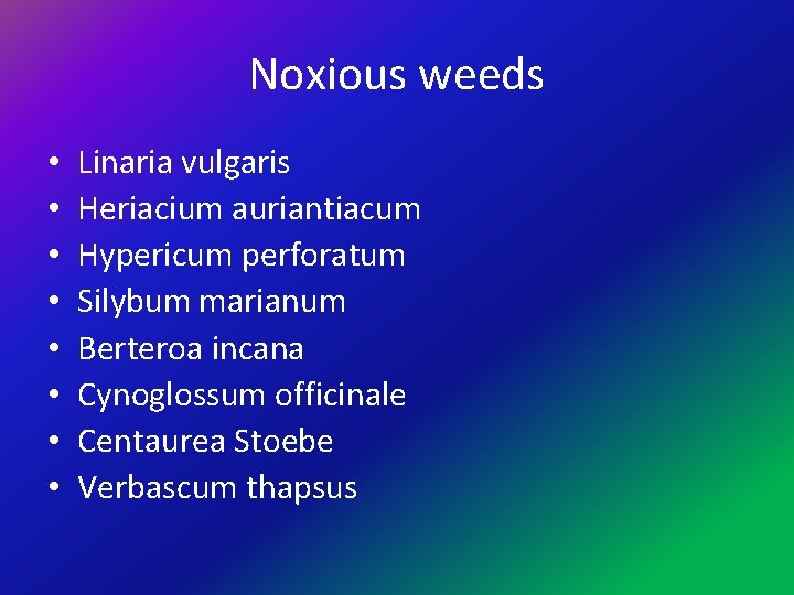 Noxious weeds • • Linaria vulgaris Heriacium auriantiacum Hypericum perforatum Silybum marianum Berteroa incana