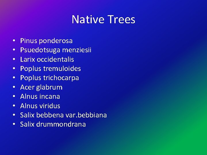 Native Trees • • • Pinus ponderosa Psuedotsuga menziesii Larix occidentalis Poplus tremuloides Poplus