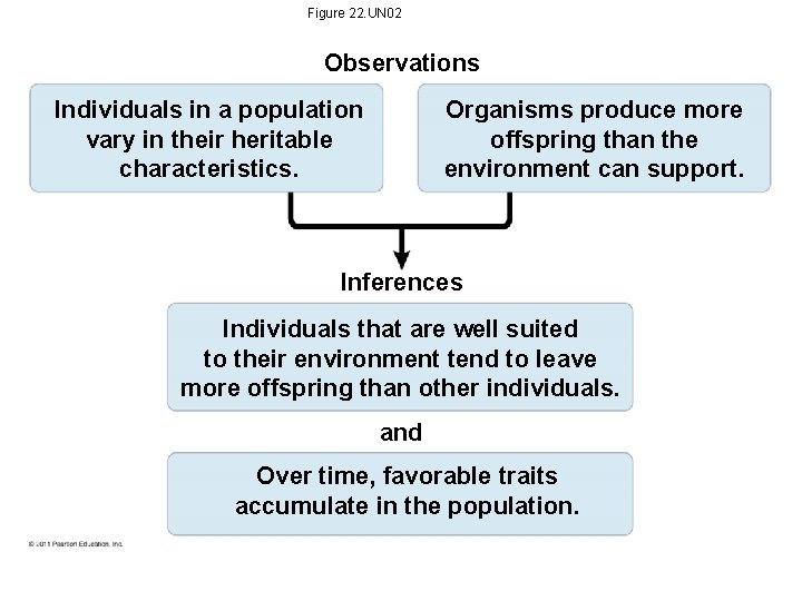 Figure 22. UN 02 Observations Individuals in a population vary in their heritable characteristics.