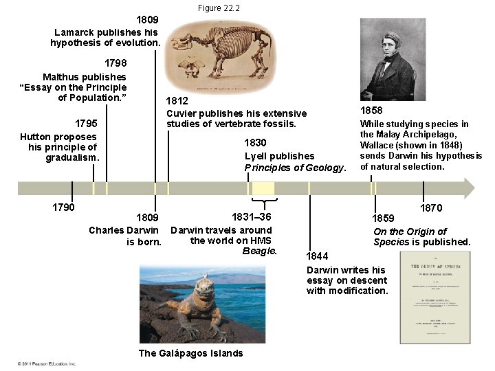 Figure 22. 2 1809 Lamarck publishes his hypothesis of evolution. 1798 Malthus publishes “Essay