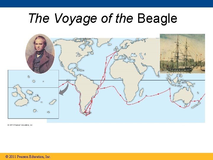 The Voyage of the Beagle © 2011 Pearson Education, Inc. The Voyage of the Beagle © 2011 Pearson Education, Inc.