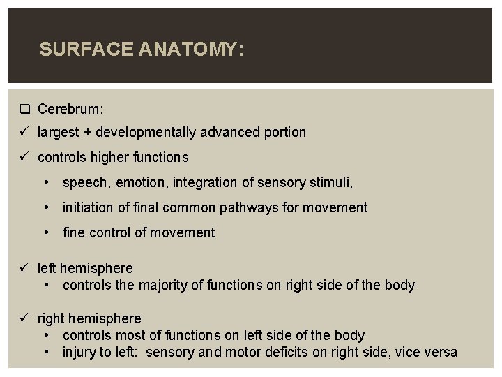 SURFACE ANATOMY: q Cerebrum: ü largest + developmentally advanced portion ü controls higher functions