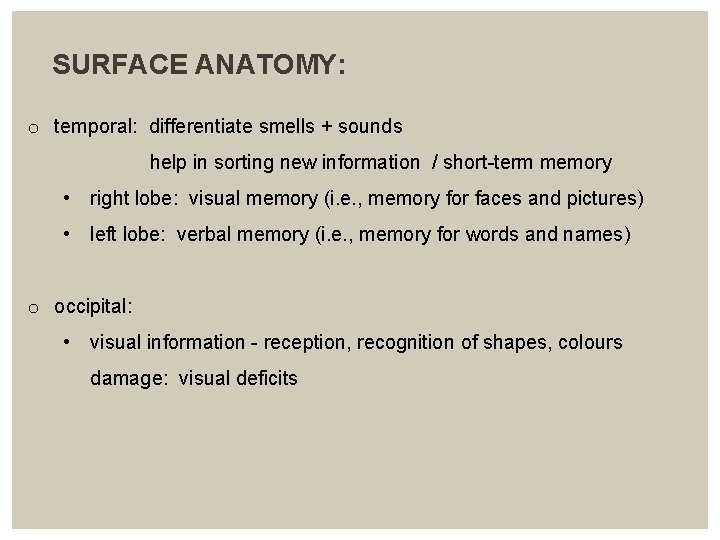  SURFACE ANATOMY: o temporal: differentiate smells + sounds help in sorting new information