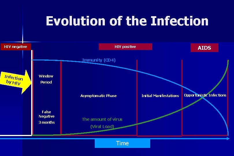 Evolution of the Infection HIV negative AIDS HIV positive Immunity (CD 4) Infect ion
