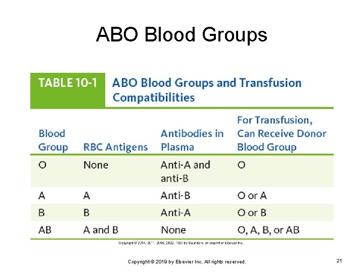 ABO Blood Groups Copyright © 2019 by Elsevier Inc. All rights reserved. 21 