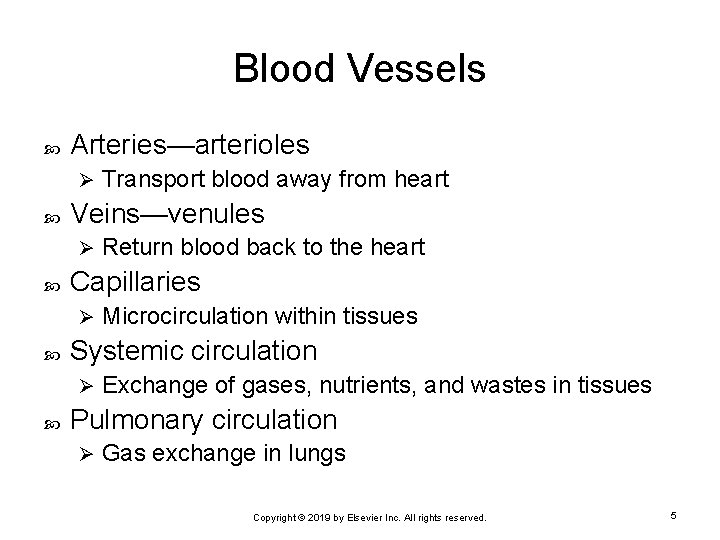 Blood Vessels Arteries—arterioles Ø Veins—venules Ø Microcirculation within tissues Systemic circulation Ø Return blood