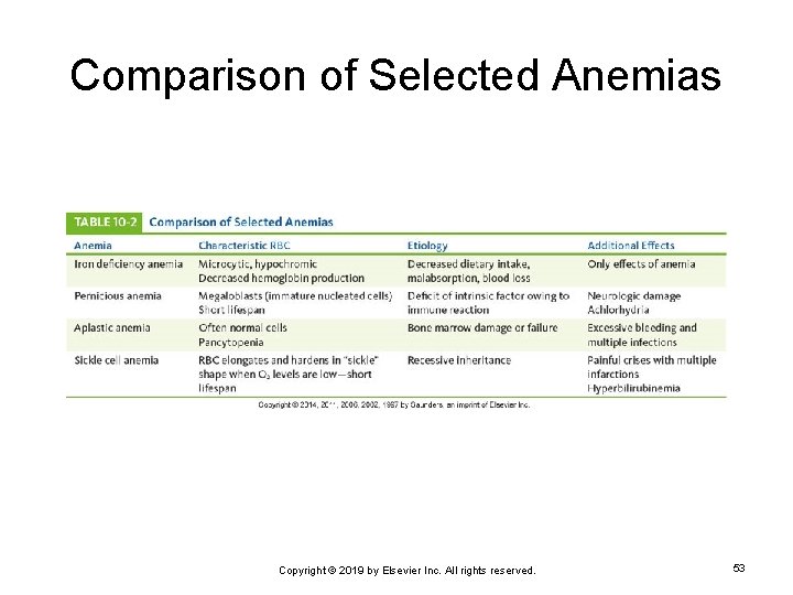 Comparison of Selected Anemias Copyright © 2019 by Elsevier Inc. All rights reserved. 53