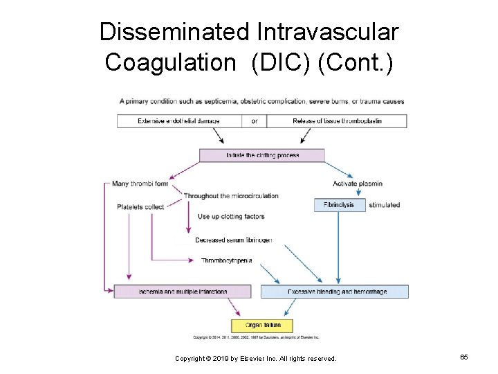 Disseminated Intravascular Coagulation (DIC) (Cont. ) Copyright © 2019 by Elsevier Inc. All rights