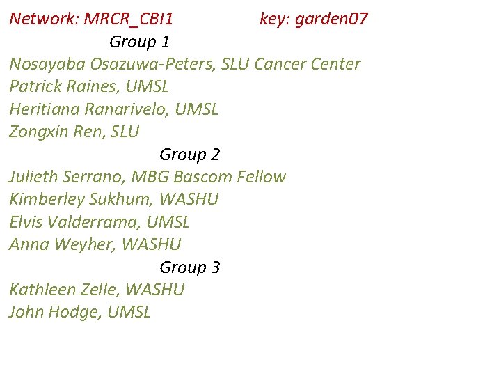 Network: MRCR_CBI 1 key: garden 07 Group 1 Nosayaba Osazuwa-Peters, SLU Cancer Center Patrick