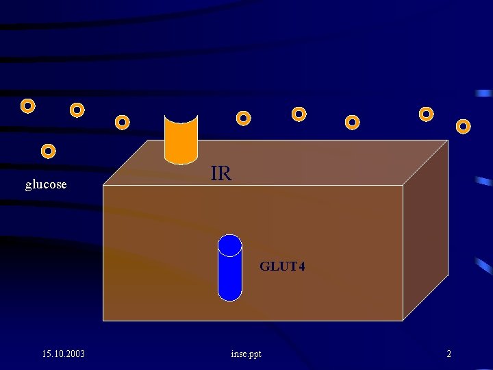 glucose IR GLUT 4 15. 10. 2003 inse. ppt 2 