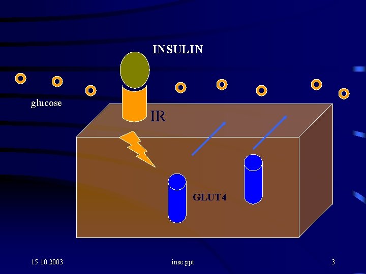 INSULIN glucose IR GLUT 4 15. 10. 2003 inse. ppt 3 