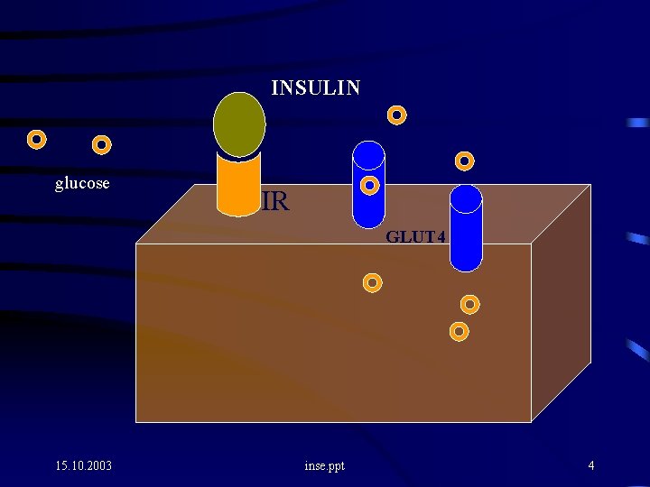 INSULIN glucose IR GLUT 4 15. 10. 2003 inse. ppt 4 