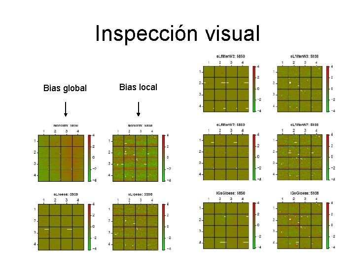 Inspección visual Bias global Bias local 
