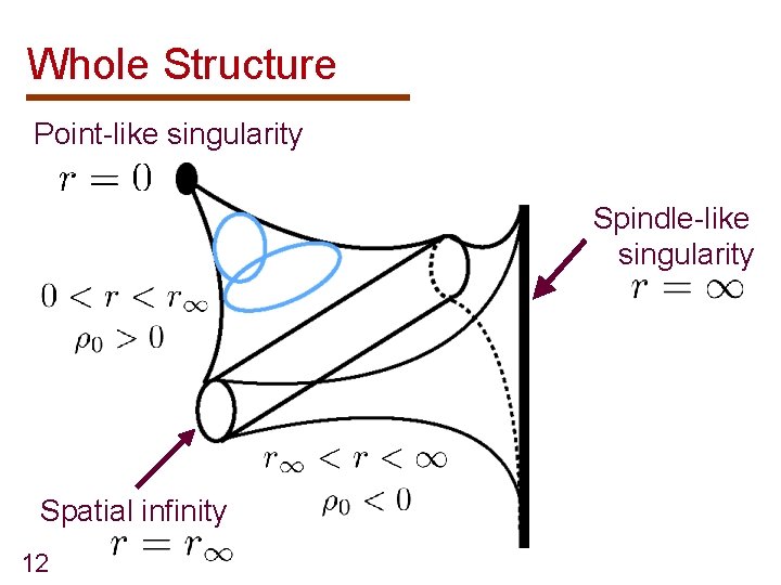 Whole Structure Point-like singularity Spindle-like singularity Spatial infinity 12 