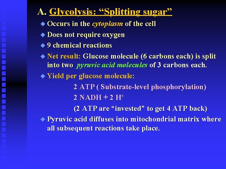 A. Glycolysis: “Splitting sugar” u Occurs in the cytoplasm of the cell u Does