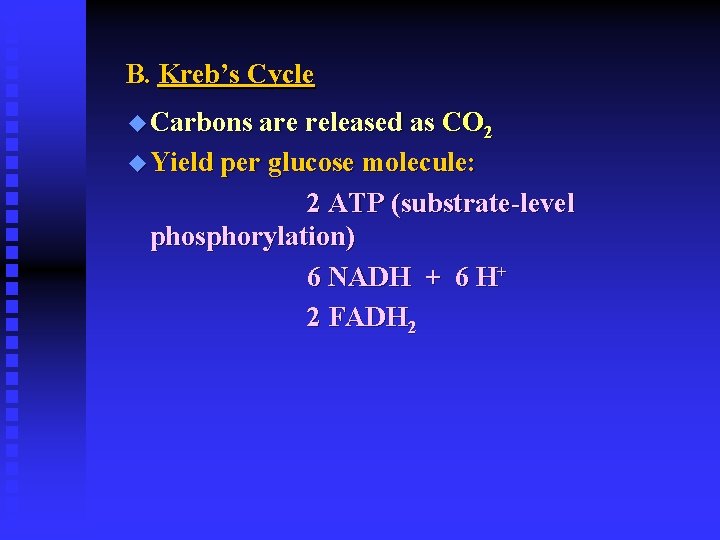 B. Kreb’s Cycle u Carbons are released as CO 2 u Yield per glucose